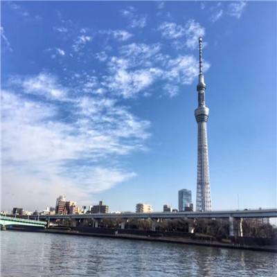 皮皮欢乐捕鱼手游下载